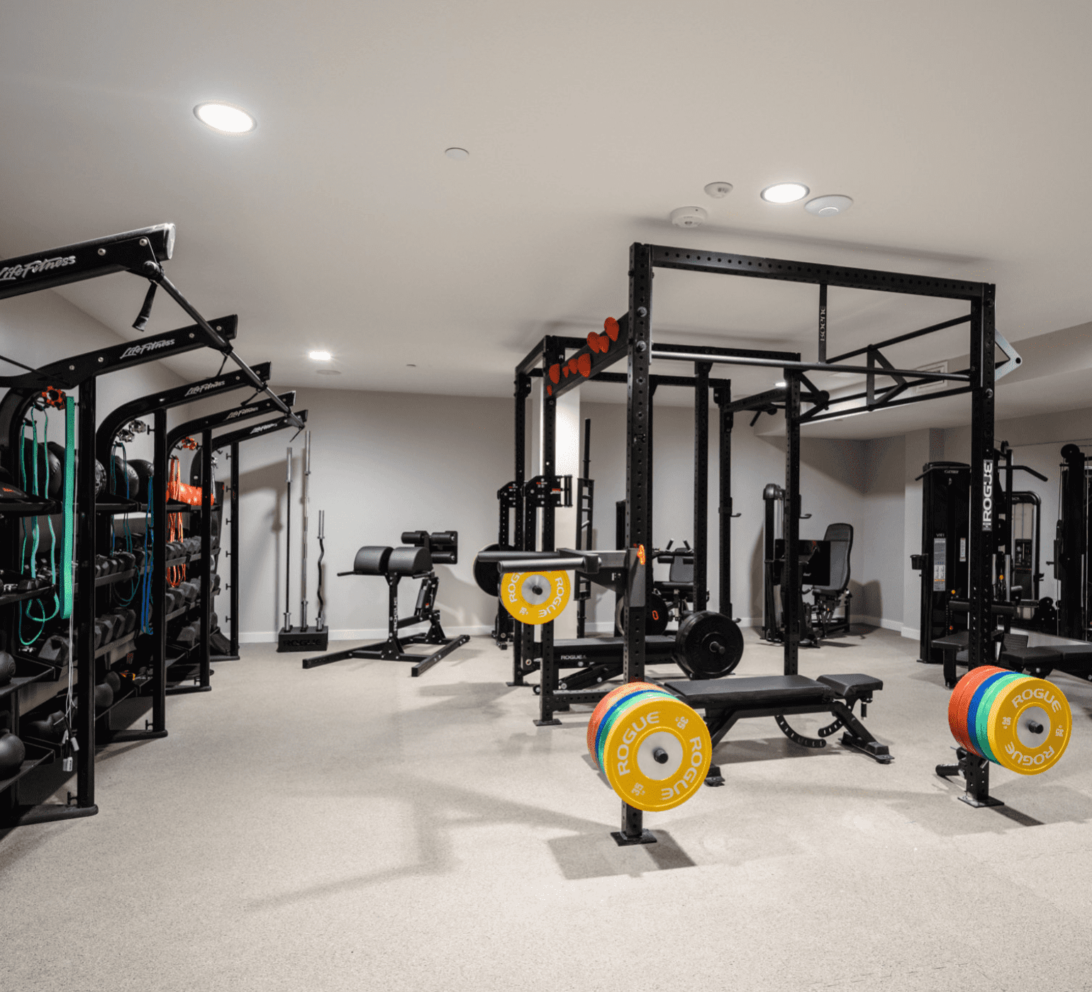 Mya full gym with traditional weigh lifting options